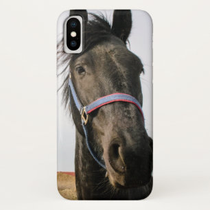 Funda Para iPhone X Cabeza de caballo 007