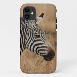 title_seo2 Cabeza de zebra