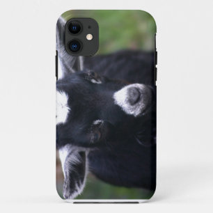 Funda Para iPhone 11 Cabra del bebé