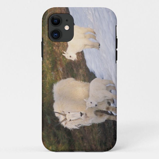 Funda De Case-Mate Para iPhone cabras montesas (Reverso)