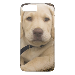 Funda Para iPhone 8 Plus/7 Plus cachorro de Labrador Retriever