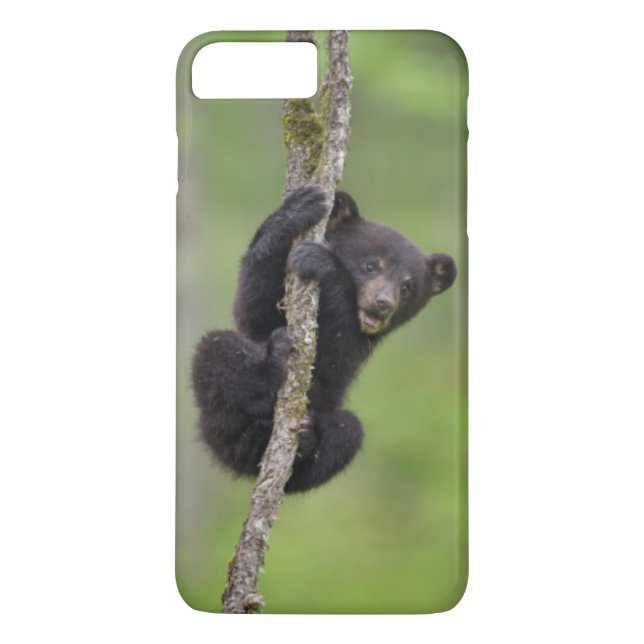 Funda De Case-Mate Para iPhone Cachorro de oso negro jugando, Tennessee (Reverso)