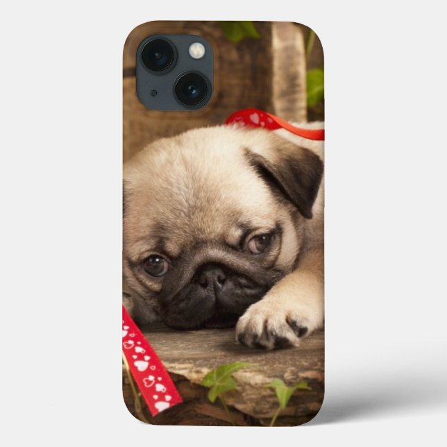 Funda De Case-Mate Para iPhone Cachorro de pug y caja de regalo (Reverso)