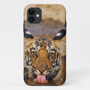 Funda Para iPhone 11 Cachorro de Tigre de Bengala Real, bebiendo agua