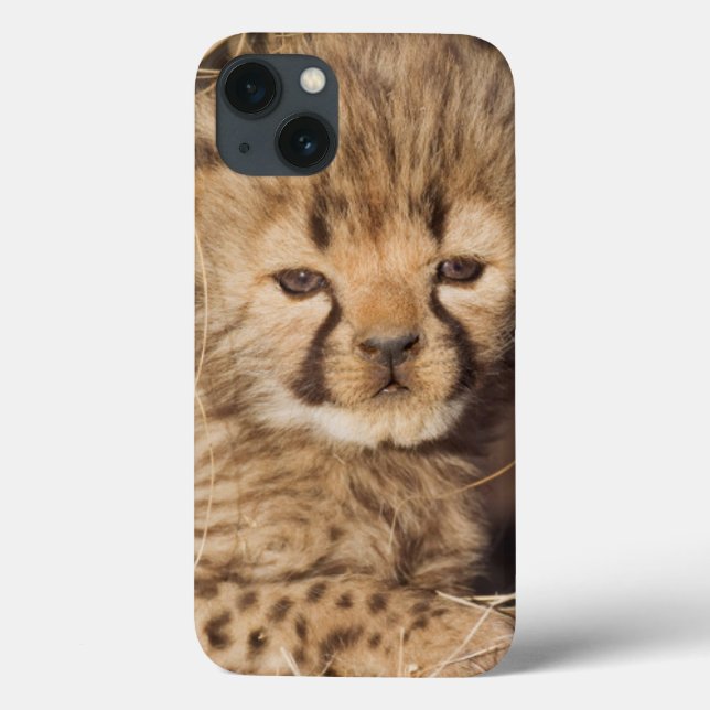 Funda De Case-Mate Para iPhone cachorro masculino viejo de 19 días. Namibia (Reverso)