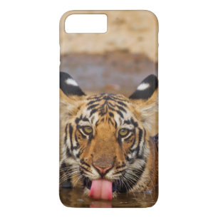 title_seo2 Cachorro real del tigre de Bengala, agua potable