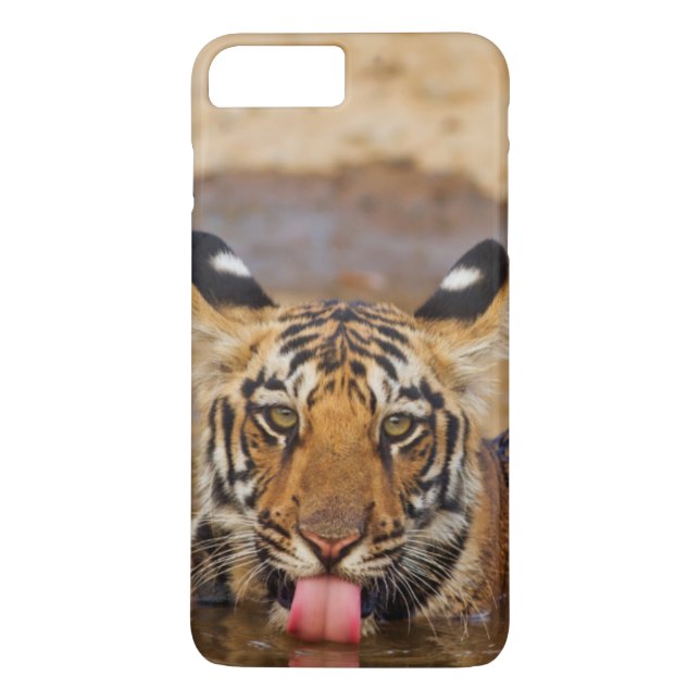 Funda De Case-Mate Para iPhone Cachorro real del tigre de Bengala, agua potable (Reverso)