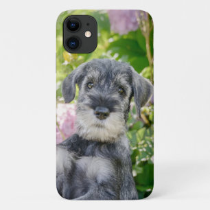 Funda Para iPhone 11 Cachorro Schnauzer estándar en un jardín de flor