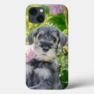 Funda Para iPhone 13 Cachorro Schnauzer estándar en un jardín de flores