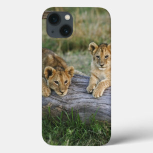Funda Para iPhone 13 Cachorros de León en Tronco