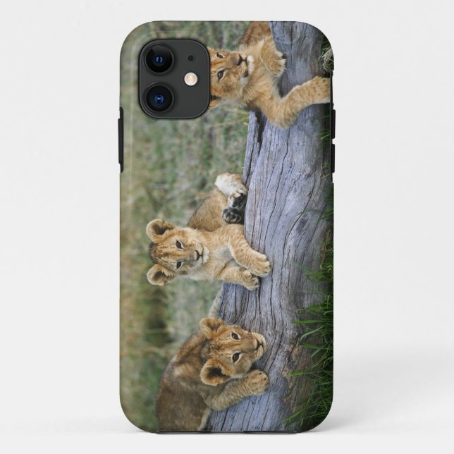 Funda De Case-Mate Para iPhone Cachorros de León en Tronco (Reverso)