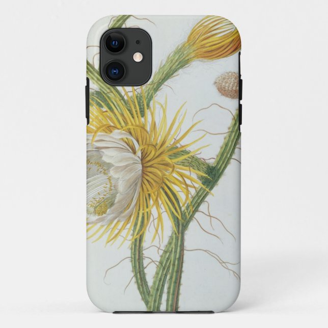 Funda De Case-Mate Para iPhone Cactus: Cirio, Plantae Selectae" 175 de Trew de " (Reverso)