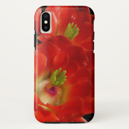 Funda Para iPhone X Cactus De La Copa Arizona Claret Con Flores De Car