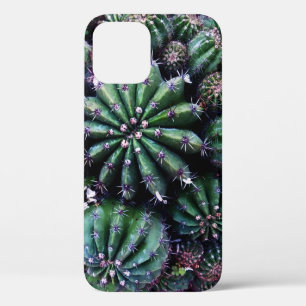Funda Para iPhone 12 Cactus de la huerta: Hermoso diseño de la guarderí
