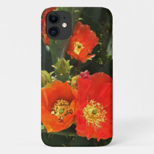 Funda Para iPhone 11 Cactus Flower Photo Bright Bloom Rojo Brillante Su