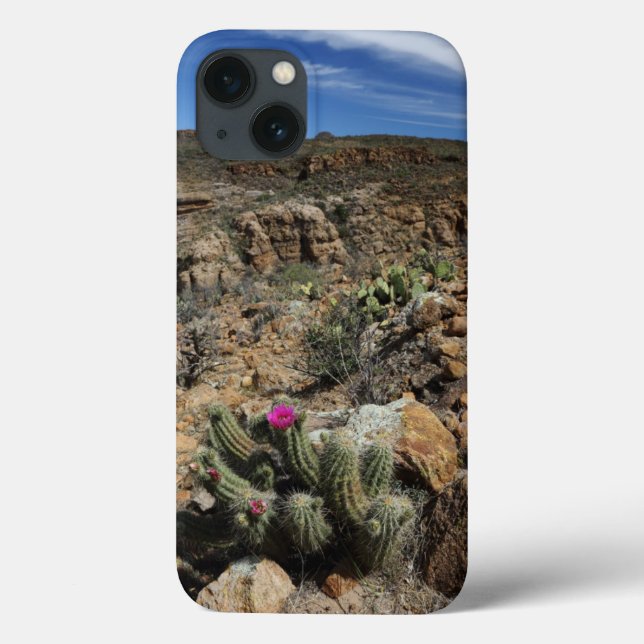 Funda De Case-Mate Para iPhone Cactus Flowering (Reverso)