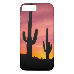 title_seo2 Cactus saguaro al amanecer, Arizona