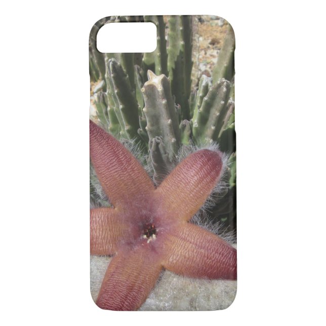 Funda De Case-Mate Para iPhone Cactus Starfish Gigante (Reverso)