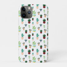 Cactus Suculentas Personalizados