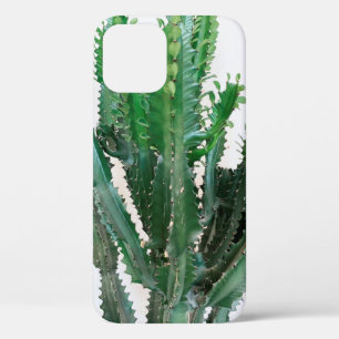 Funda Para iPhone 12 Cactus verdes sobre fondo blanco.