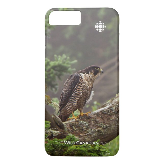 Funda De Case-Mate Para iPhone Cae - Halcón Peregrino (Reverso)