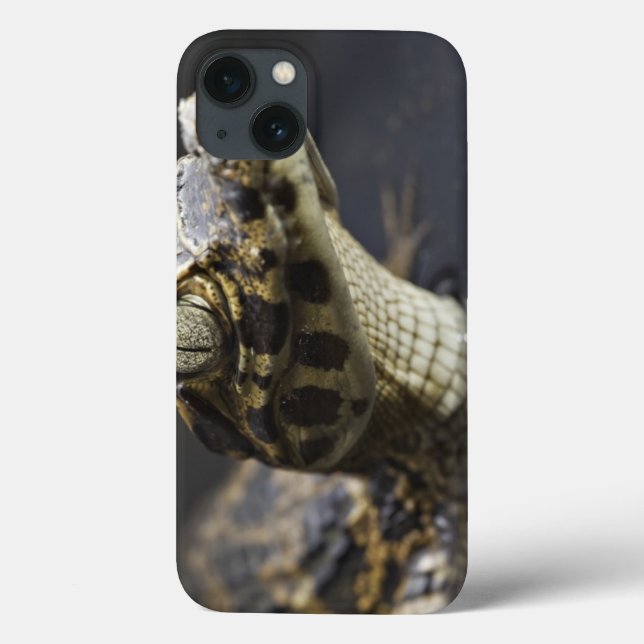 Funda De Case-Mate Para iPhone Caimán joven en agua con la reflexión (Reverso)