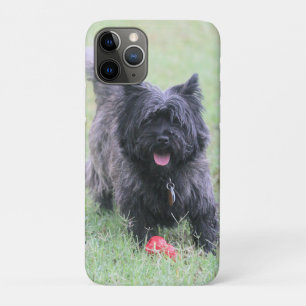 Funda Para iPhone 11 Pro Cairn
