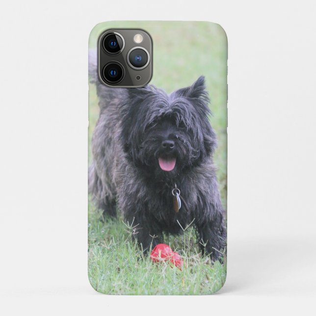 Funda De Case-Mate Para iPhone Cairn (Reverso)