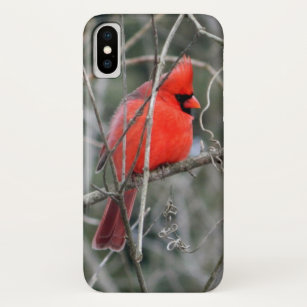 Funda Para iPhone XS Caja cardinal roja real del iPhone