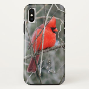Funda Para iPhone X Caja cardinal roja real del iPhone
