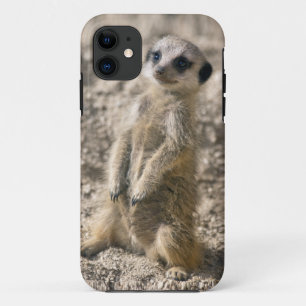 Funda Para iPhone 11 Caja de la casamata del iPhone 5 del