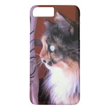 Caja linda del teléfono de Iphone 8s/7s del gato