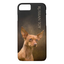 Caja rusa del teléfono del juguete