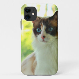 Funda Para iPhone 11 Cajas y pieles de encargo del teléfono del gatito