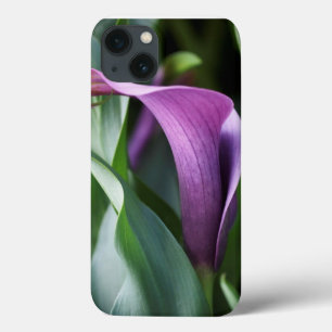 Funda Para iPhone 13 Cala en Ombre púrpura