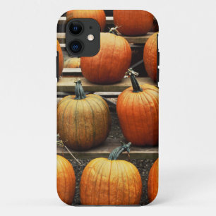 Funda Para iPhone 11 Calabazas de otoño