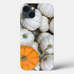 Funda Para iPhone 13 Calabazas fantasma con un naranja furtivo uno