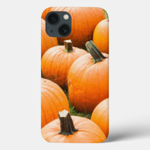 Funda Para iPhone 13 Calabazas para la venta en el mercado de un