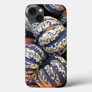 Funda Para iPhone 13 Calabazas Rayadas Rústicas