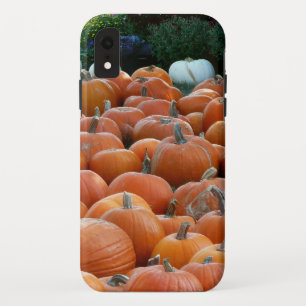 Funda Para iPhone XR Calabazas y crisantemos Fotografía de la cosecha d