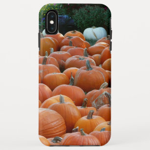 Funda Para iPhone XS Max Calabazas y crisantemos Fotografía de la cosecha d