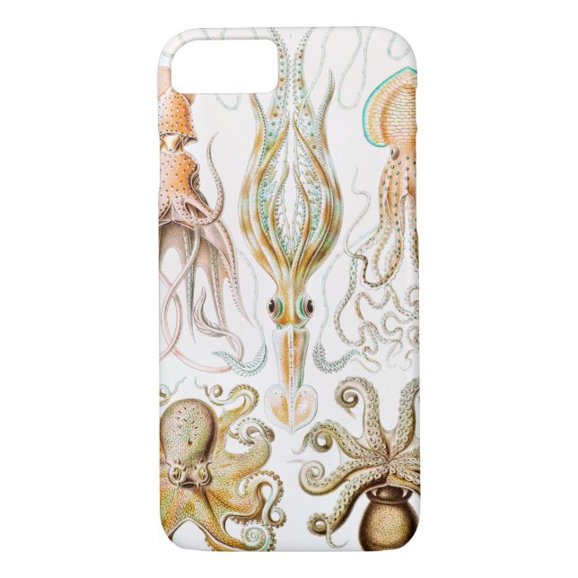 Funda De Case-Mate Para iPhone Calamar del pulpo, Gamochonia por Ernst Haeckel (Reverso)