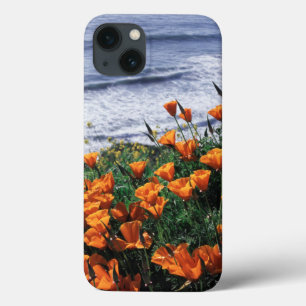 Funda Para iPhone 13 California, Costa de Big Sur, Amapola de Californi