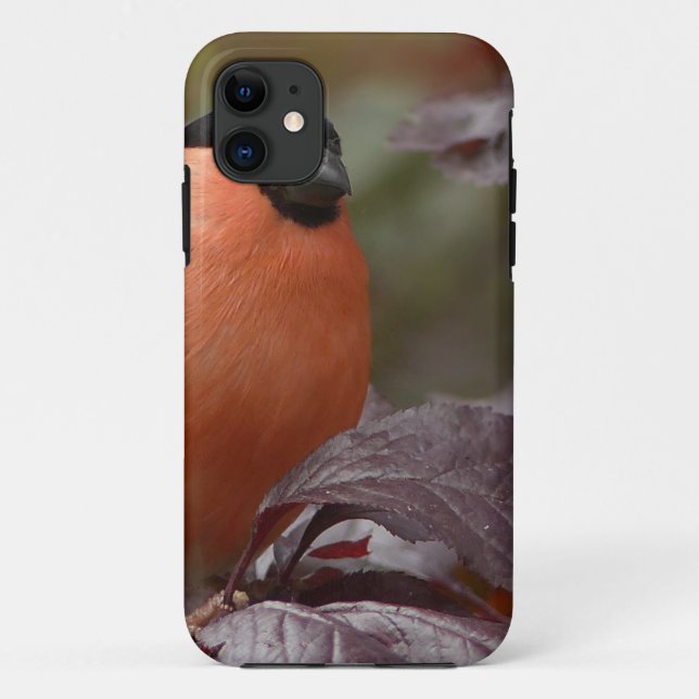 Funda De Case-Mate Para iPhone Camachuelo común (Reverso)