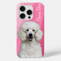 Cambiar el nombre de su perro de Poodle en los est