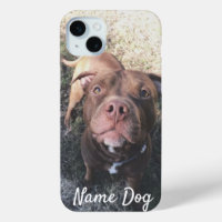 Cambie el nombre de su perro Pitbull en los estuch