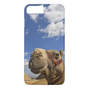 Funda Para iPhone 8 Plus/7 Plus Camello frente a las pirámides de Giza, Egipto,