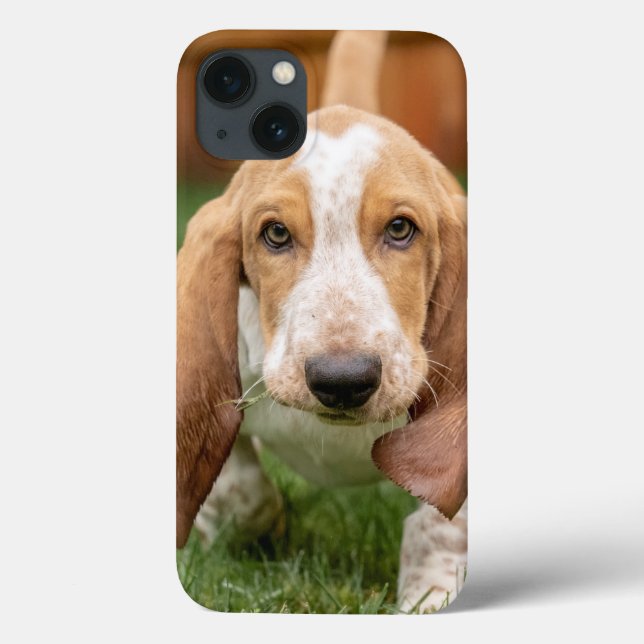 Funda De Case-Mate Para iPhone Caminata de cachorros de Basset Houng (Reverso)