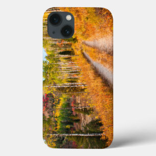 Funda Para iPhone 13 Camino a través de los colores del otoño