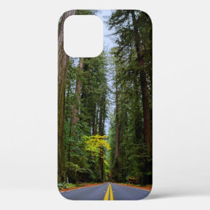 Funda Para iPhone 12 Pro Camino recto por el bosque de secuoya.
